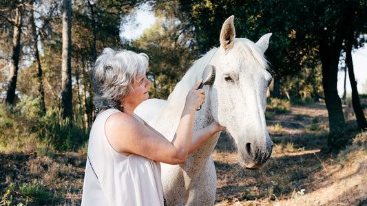 Los Mejores Consejos para el Cuidado Diario de tu Caballo